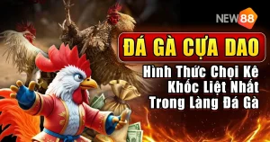 đá gà cựa dao